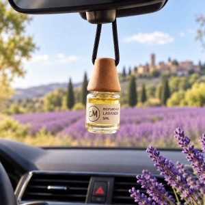 Profumatore auto e piccoli ambienti